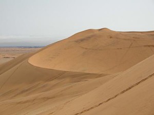 Dune gialle